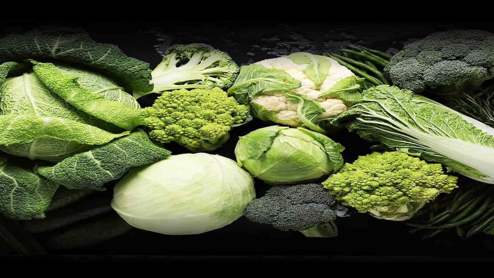 National Cabbage Day 2024 (US): Origin, Facts with Importance