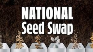 National Seed Swap Day 2024: A Comprehensive Guide to Gardening Activities, History, FAQs, Dates