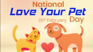 National Love Your Pet Day 2024 (US): Know about its History, Activities and Dates