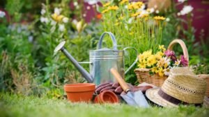 Community Garden Week 2024 (UK) 5 Fascinating facts and Activities