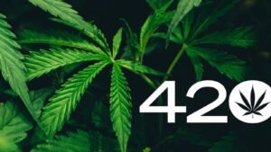 420 2024 Know about its History, Activities, FAQs and Six Facts