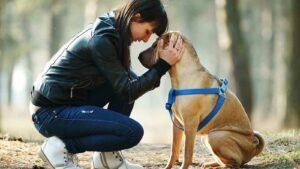 Dog Therapy Appreciation Day 2024 (US) Learn about its Facts and FAQs