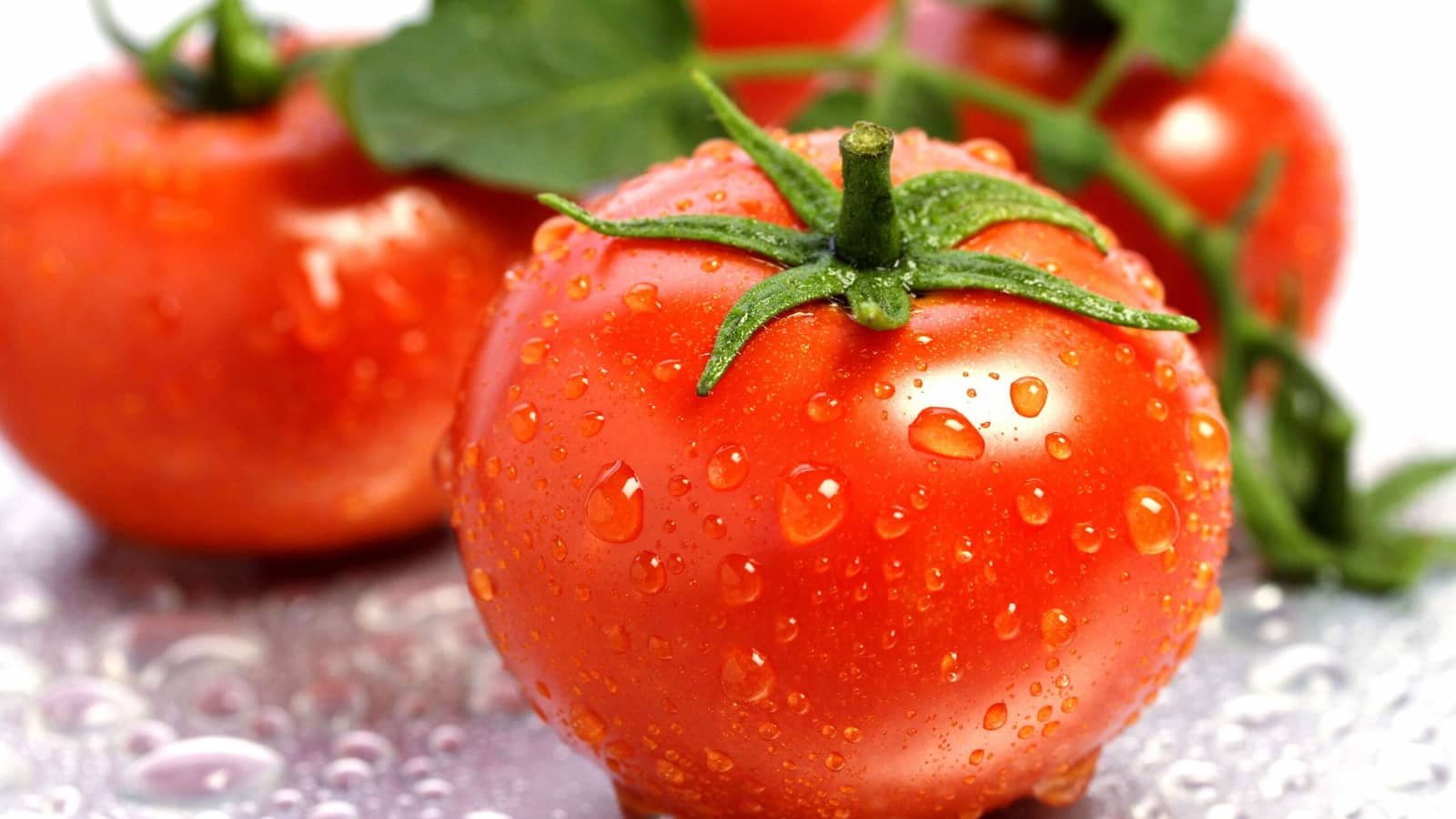 Fresh Tomato Day 2024 (US) Discover its History, Facts and FAQs