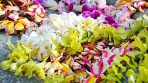 Lei Day 2024: Fascinating History, Facts, and FAQs