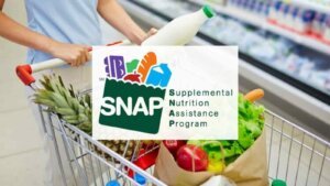 Florida SNAP Recertification Deadline: Don't Miss Your Chance to Maintain Food Stamp Benefits