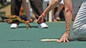 Frog Jumping Jubilee Day 2024 (US) History, Activities and FAQs