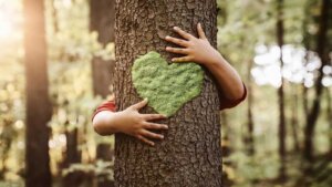 National Love a Tree Day 2024 (US): Activities, Dates, and Facts about Trees