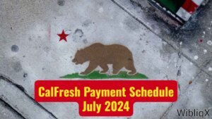 CalFresh Payment Schedule July 2024 Dates for Californians to Receive Food Stamps