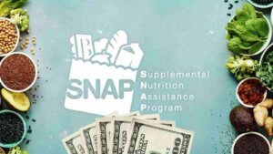 Florida SNAP Benefits June 2024 Check Your Eligibility for Food Stamp Benefits This Week