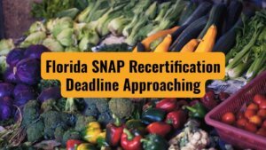 Florida SNAP Recertification Deadline Approaching Don't Miss Your Chance to Reapply for Food Stamps in June