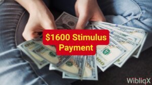 How to Get the $1600 Stimulus Payment and Check Eligibility