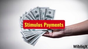 IRS to Provide Stimulus Payment for Children: Important Details Revealed