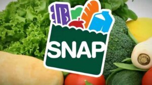 Texas SNAP Benefits June 2024 Eligibility for Food Stamps in Texas This Week