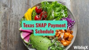 Texas SNAP Payment Schedule Find out who is next in line to receive food stamps this week