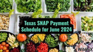 Texas SNAP Payment Schedule for June 2024 What to Expect This Week