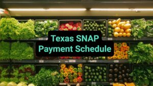 Texas SNAP Payment Schedule: June 2024 Payments to be Distributed This Week