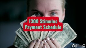 1300 Stimulus Payment Schedule Find Out When You'll Receive Your Direct Tax Rebate
