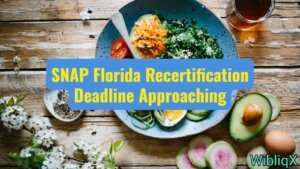 SNAP Florida Recertification Deadline Approaching Don't Miss the Last Day to Start Your Renewal Process