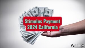 Stimulus Payment 2024 California What You Need to Know
